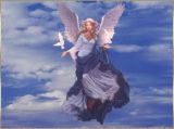 PAMELA MATTEI<br />
 - 01/06/1993 _ 06/04/2011